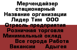 Мерчендайзер стационарный › Название организации ­ Лидер Тим, ООО › Отрасль предприятия ­ Розничная торговля › Минимальный оклад ­ 15 000 - Все города Работа » Вакансии   . Адыгея респ.,Адыгейск г.